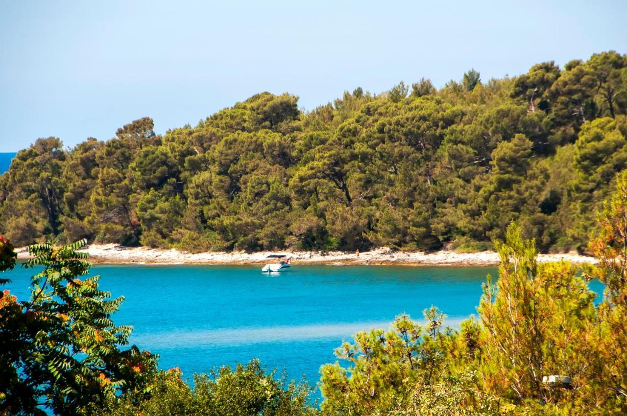 Pineta Mobile Home In Porton Biondi Camp Ρόβινι Εξωτερικό φωτογραφία